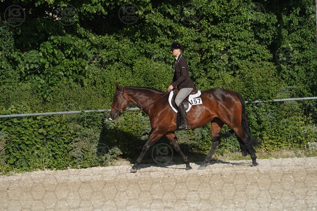sA9K05949.JPG
